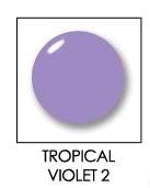 Tropical Violet #2