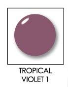Tropical Violet