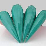 Teal My Heart