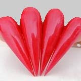 Cherry Popsicle
