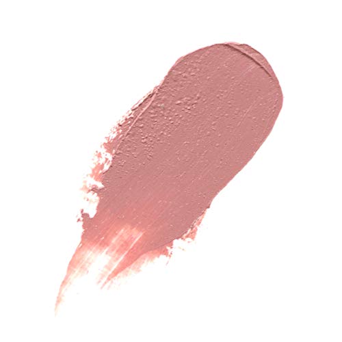DISCREET DALLIANCE (Beautiful Pink Beige Nude)