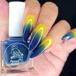 Forget Me Not