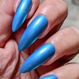Blue Macaw