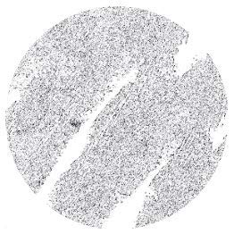 Frost