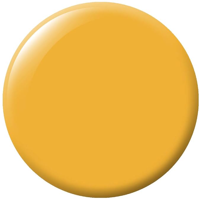 Sunny Side Up