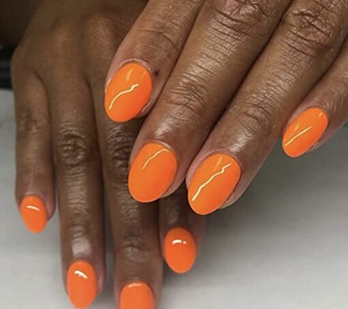 Orange Sherbet