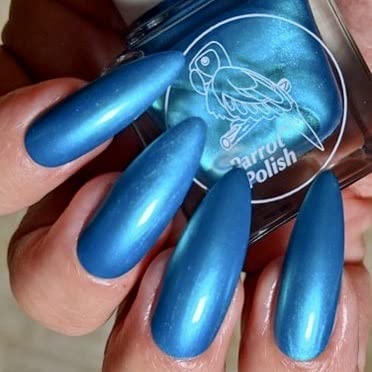 Blue Macaw
