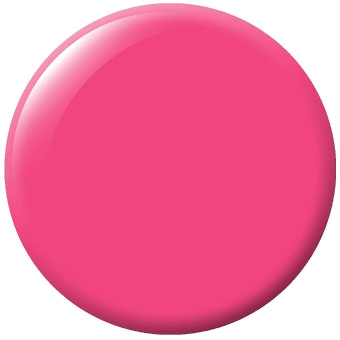 Raspberry Sorbet