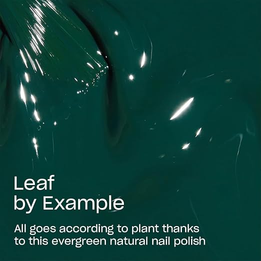Leaf by Example