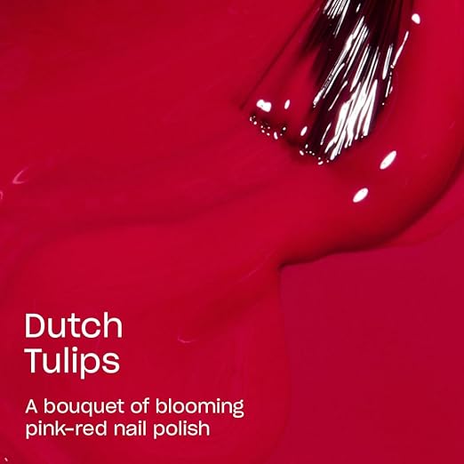 Dutch Tulips