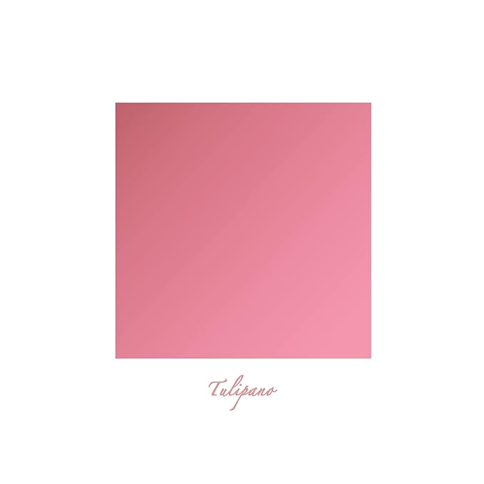 Tulipano