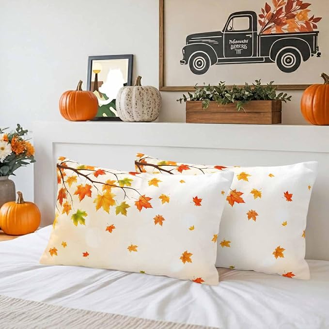 Orange, Yellow, Off-white