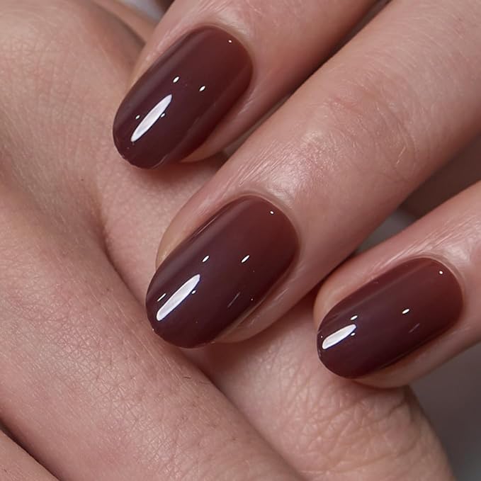 Cocoa Muse