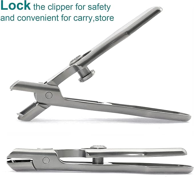 Silver With File