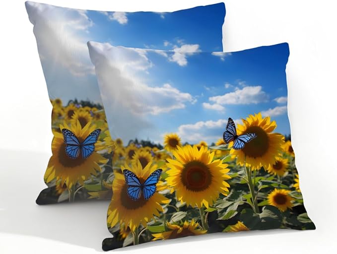 Sunflowers Butterfly Sky