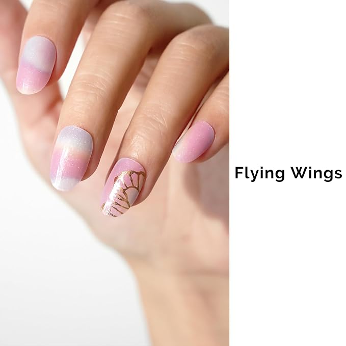 Flying Wings