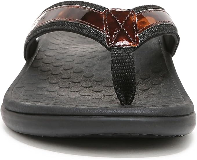 Black Tortoise