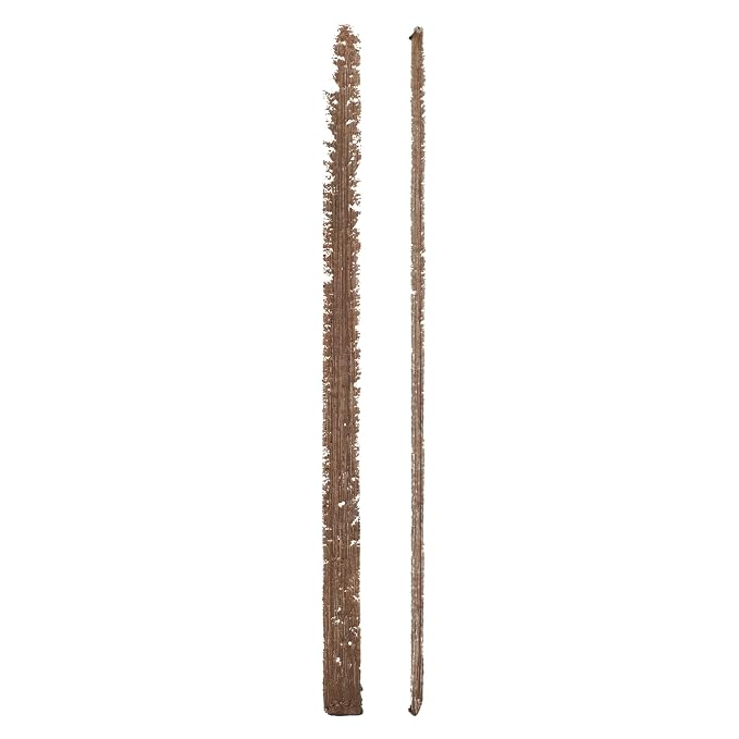 Rubio