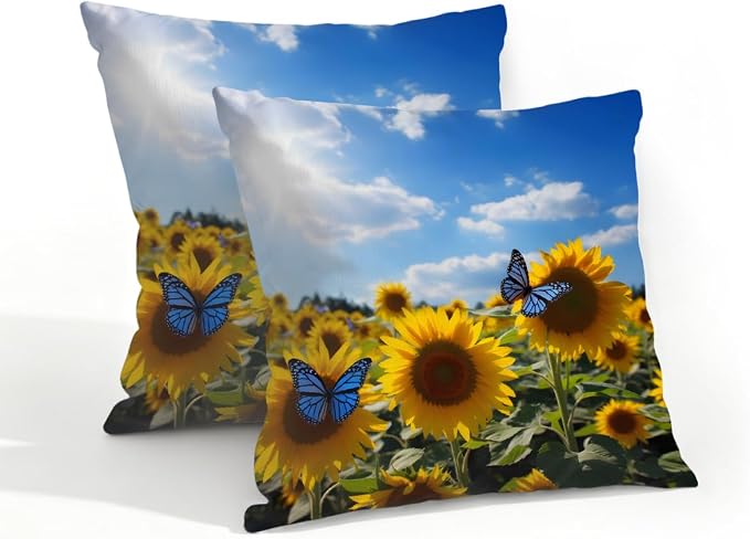 Sunflowers Butterfly Sky