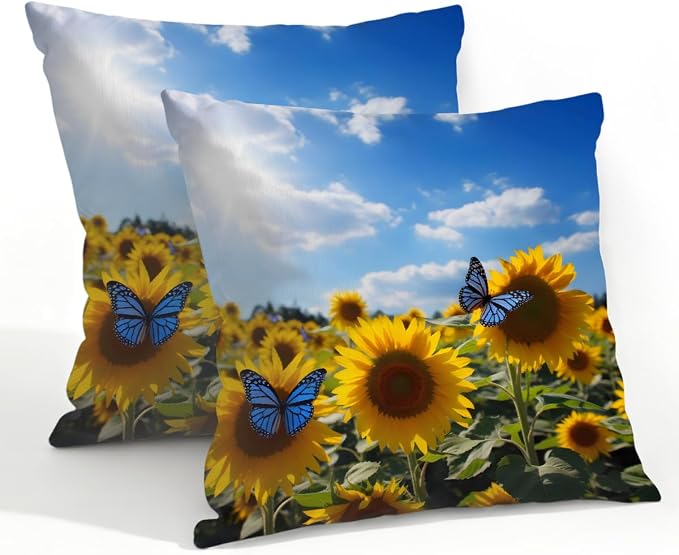 Sunflowers Butterfly Sky