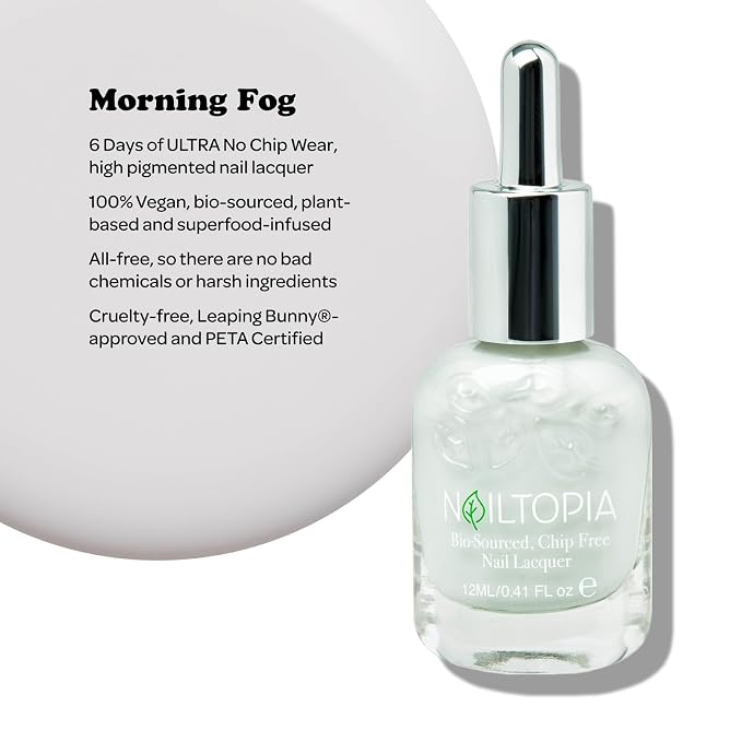 Morning Fog