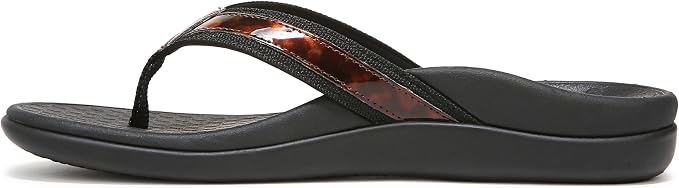 Black Tortoise