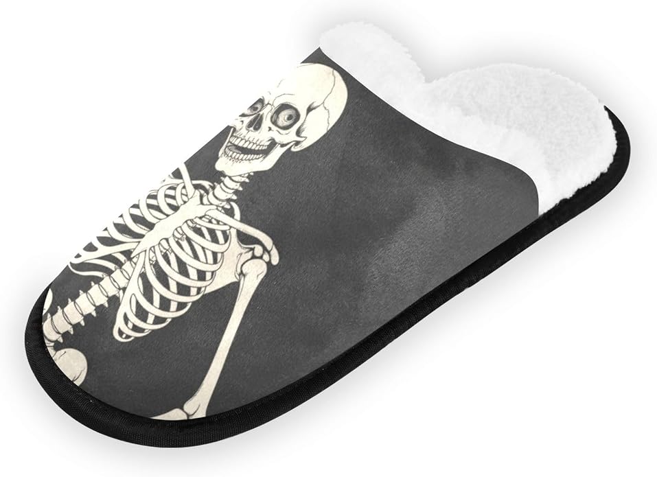 Skeleton Skull