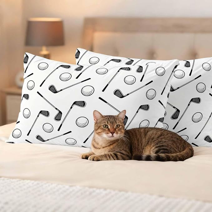 (Pack of 2)