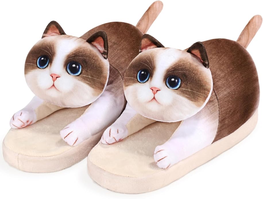 Ragdoll Cat