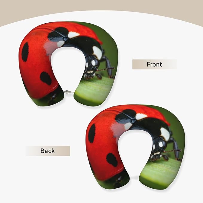 Pattern (1228)