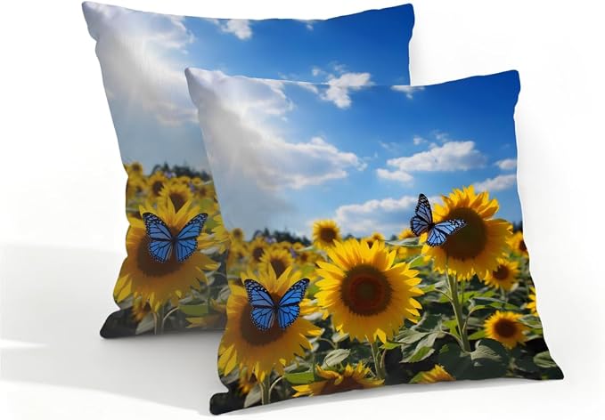 Sunflowers Butterfly Sky
