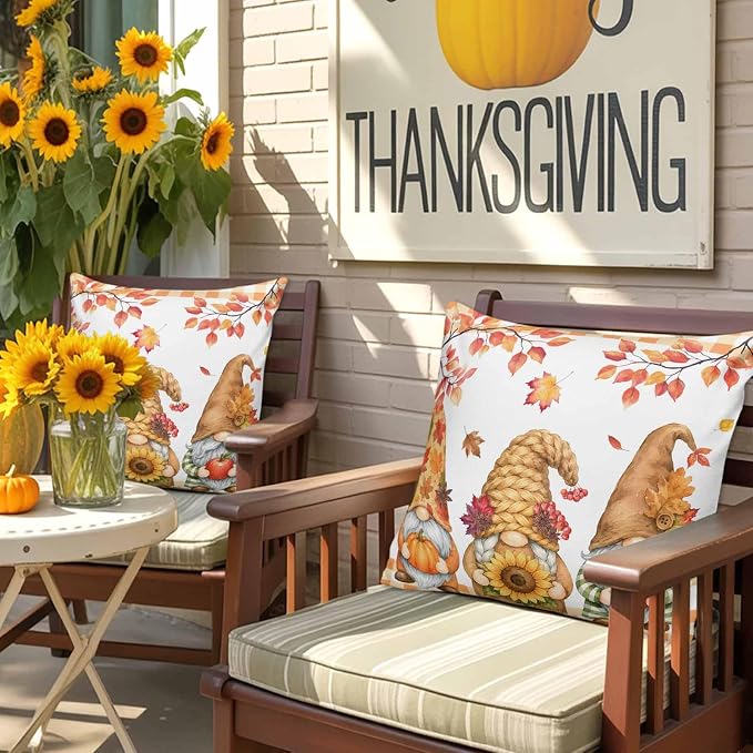 Pumpkin,sunfloweryellow,tangerine,white