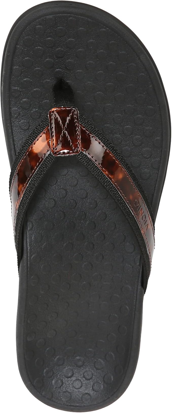 Black Tortoise
