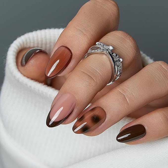 Amber Shell Dream