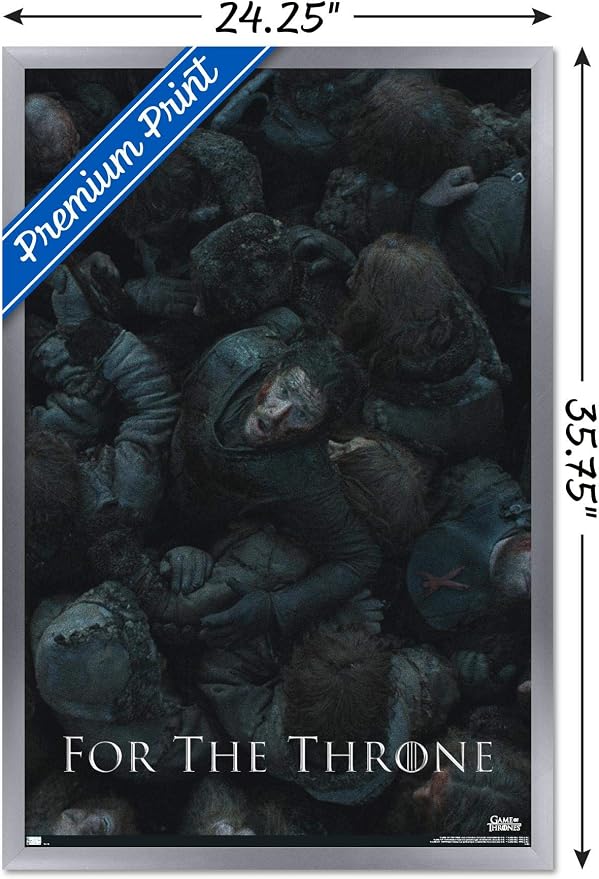 Silver Framed Version