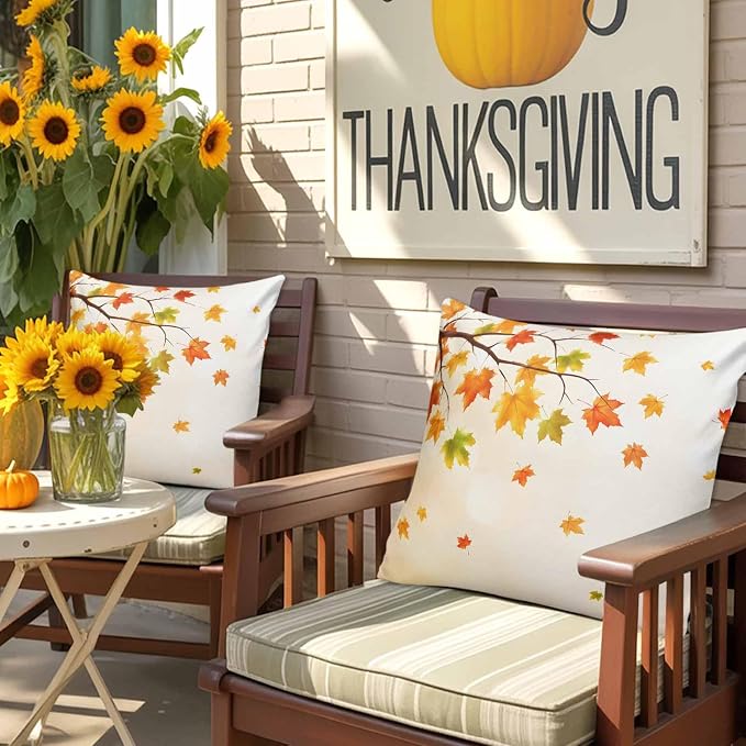 Orange, Yellow, Off-white