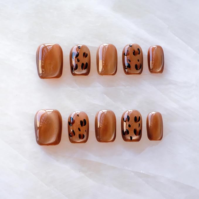 199142Leopard