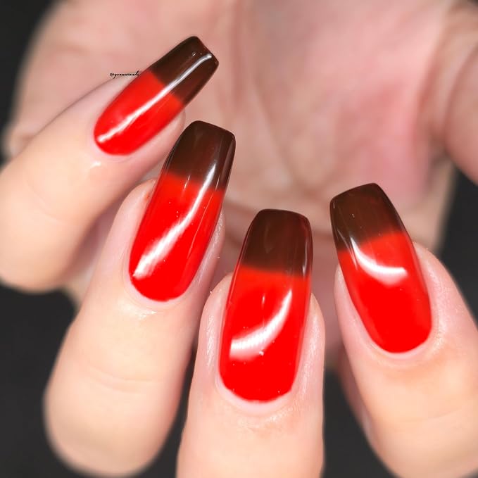 Chocolate Cosmos