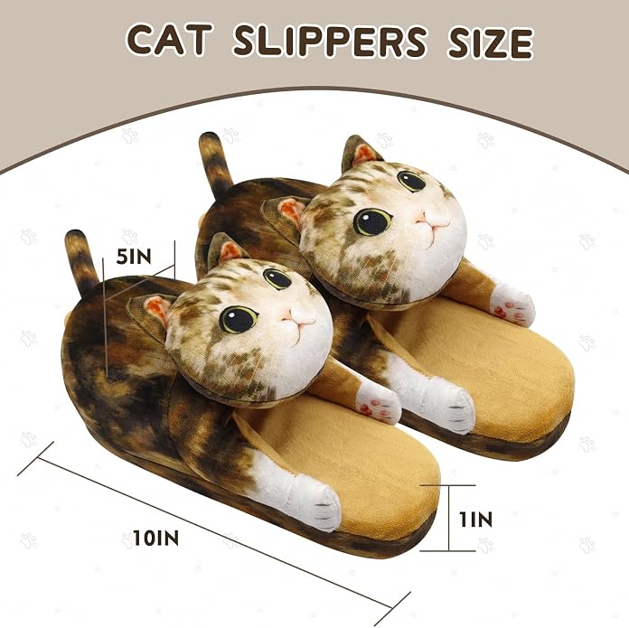 Tabby Cat