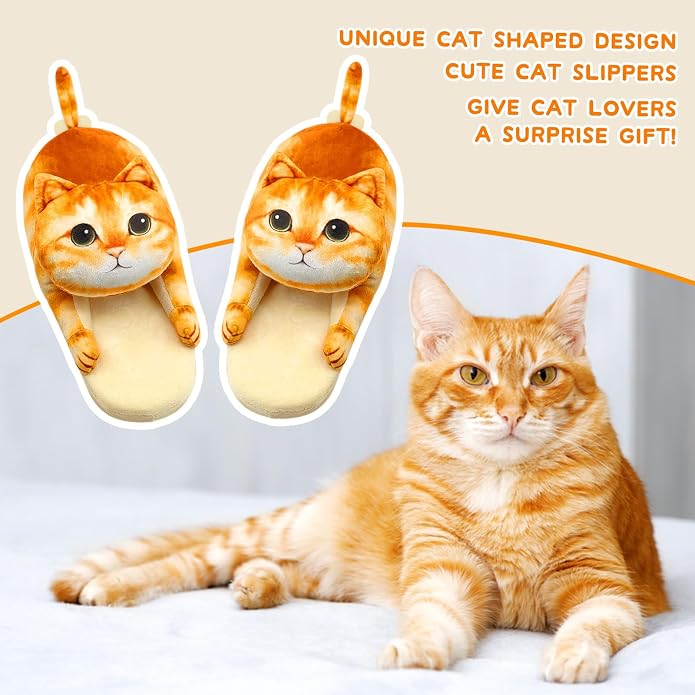 Orange Cat