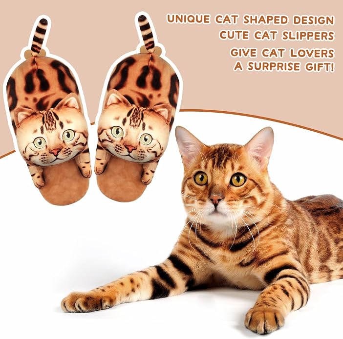 Bengal Cat