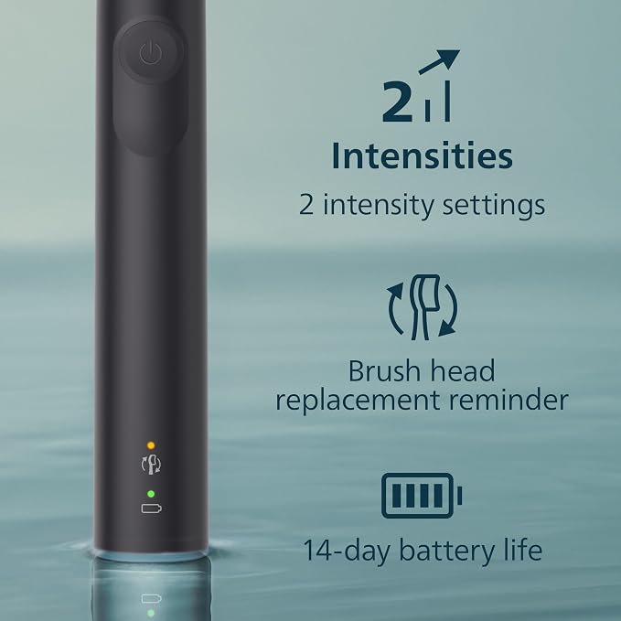 Black + Brush Head Case