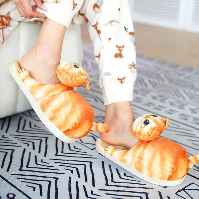 Orange Cat