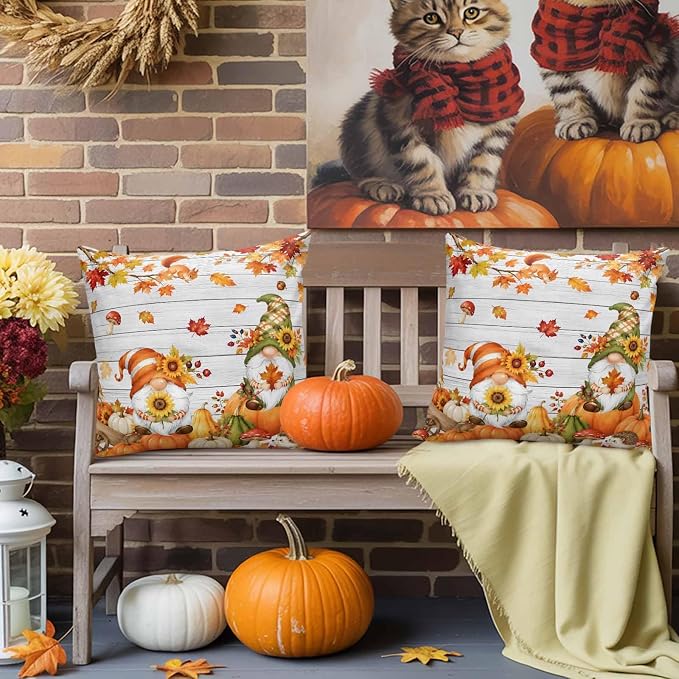 Gray, Pumpkin Orange