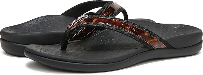 Black Tortoise
