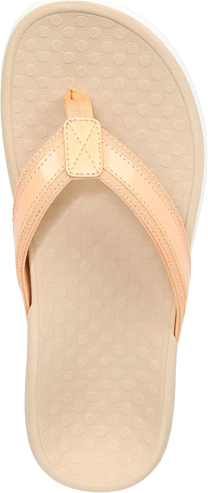 Apricot