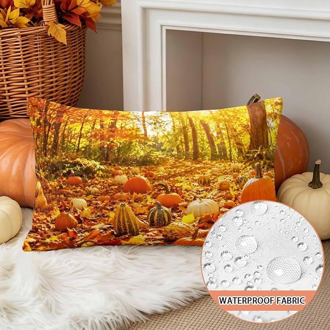 Bright Pumpkin, Forest Moss, Harvest Gold, Toasted Almond