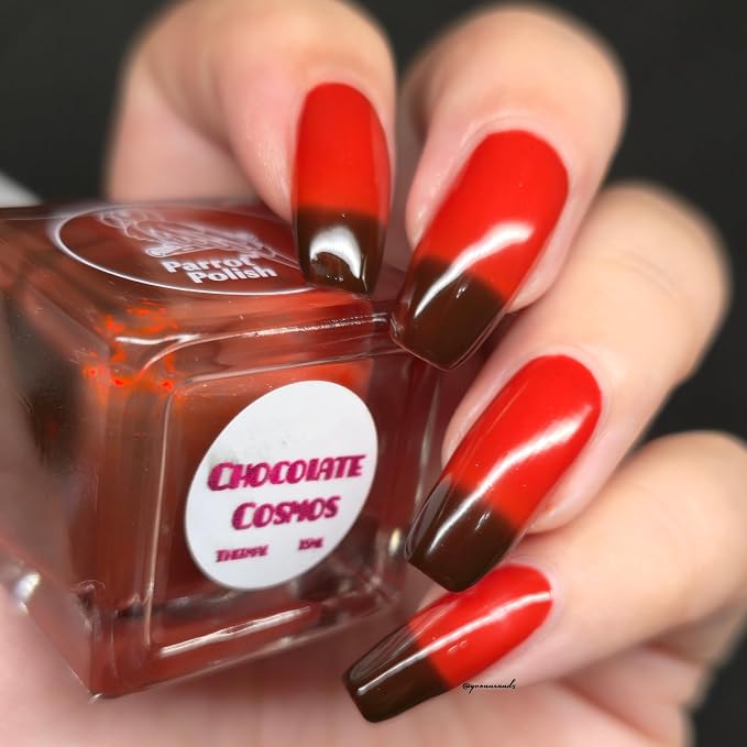Chocolate Cosmos