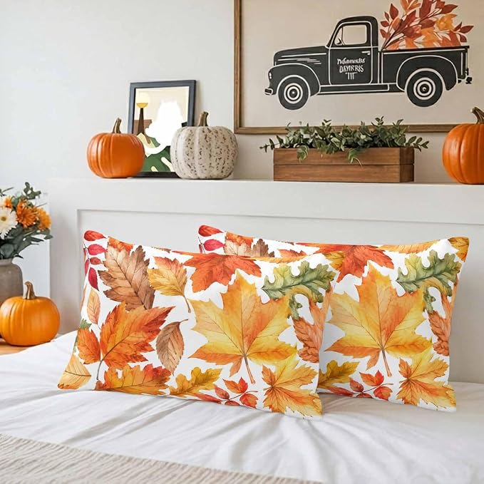 Auburn, Amber, Russet, Maize