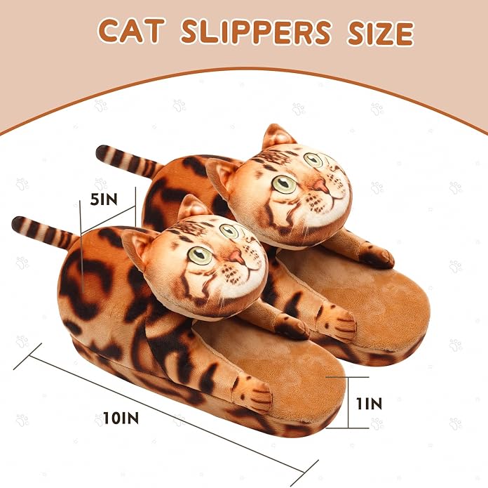Bengal Cat